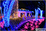 La casa di Babbo Natale #6 - Melegnano