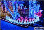 La casa di Babbo Natale #10 - Melegnano