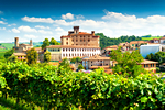 Foto Barolo #1 - Panorama - Collisioni Festival 2014