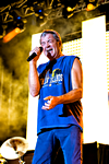 Foto Concerto Deep Purple #51 - Ian Gillan - Collisioni Festival 2014 @ Barolo