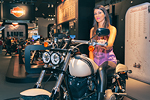 EICMA 2013 #25 - Harley Davidson - Ragazza Immagine
