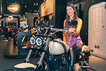 EICMA 2013 Harley-Davidson Ragazza Immagine