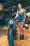 EICMA 2013 Ragazza Immagine Headbanger Motorcycles