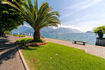 Passeggiata lungo il Lago di Como