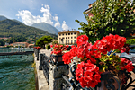 Fiori sul Lago di Como a Menaggio