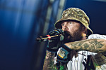 Foto Concerto Limp Bizkit #8 - Fred Durst - Carroponte 2016