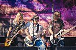 Rock In Idro 2014 - Bologna - Foto Concerto Black Stone Cherry #23