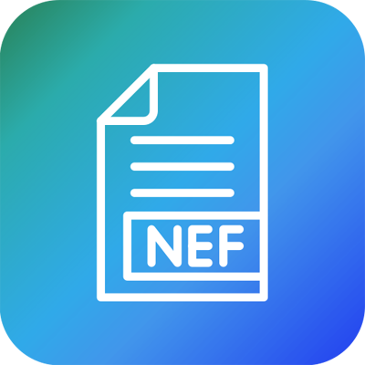 NEF Icon