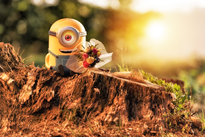 Minion Stuart - Second Date - Cattivissimo Me