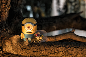 Minion Stuart - Third Date - Cattivissimo Me