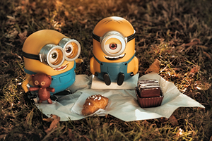 Minions Bob and Stuart - Picnic in the Park