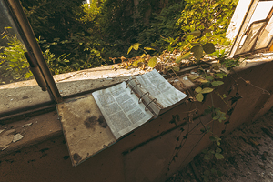 Manicomio di Mombello #16 - Urbex Photography