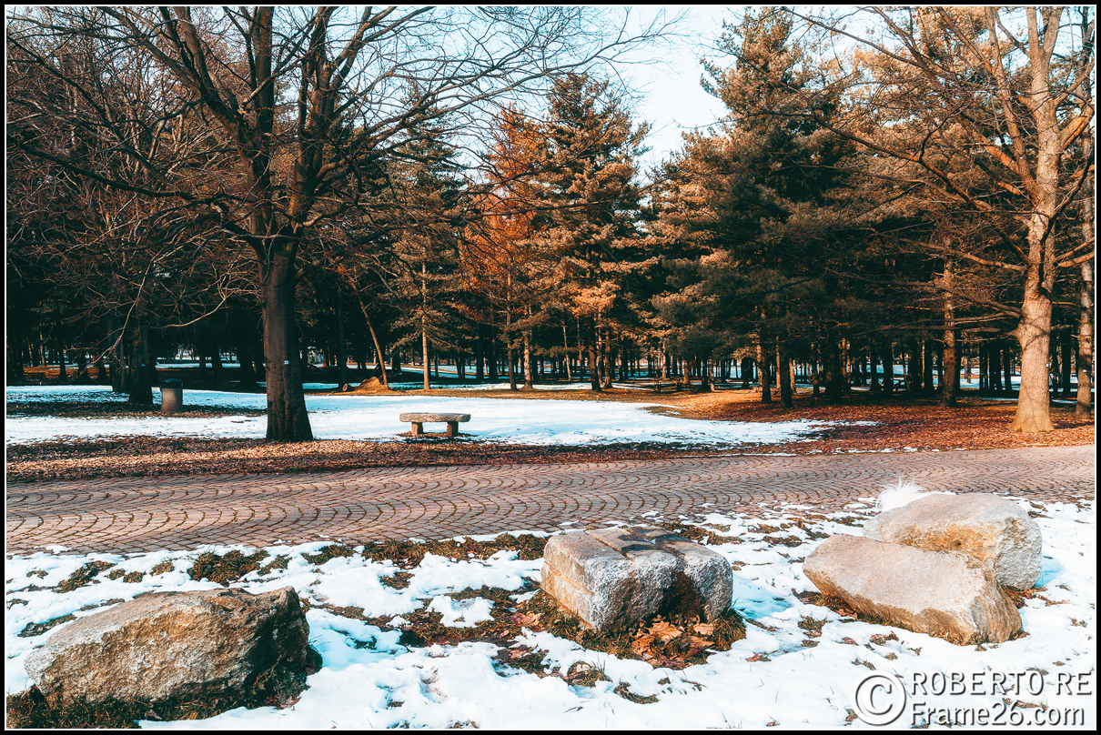 Parco Locale del bosco di Legnano