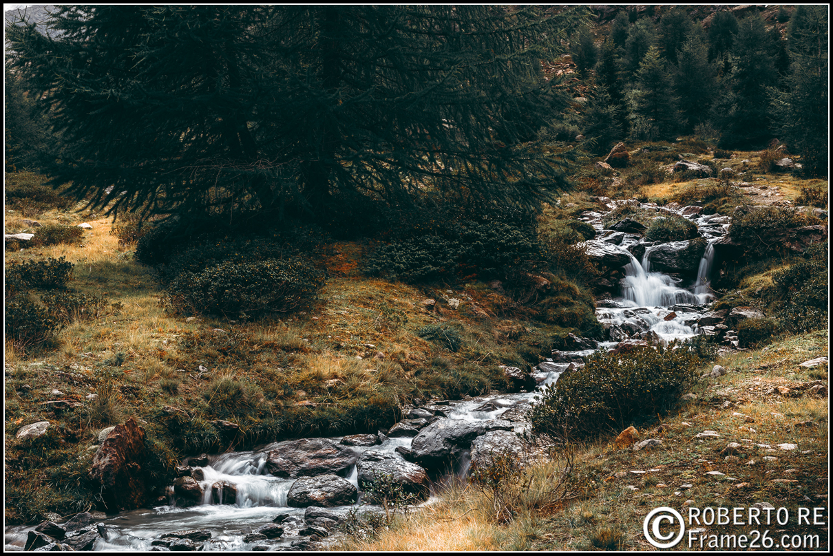 Sentiero Glaciologico alla Valle dei Forni in Valtellina